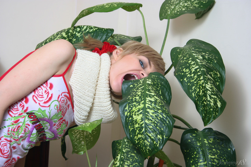 Plants