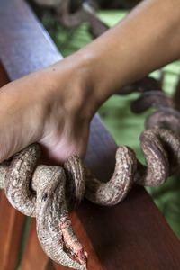 Dark Romantic With Jacinta B