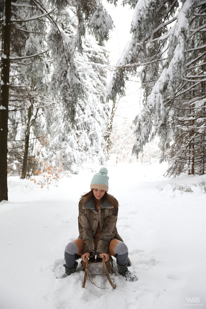 Clover In Winter Story